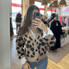 Cardigan LEO