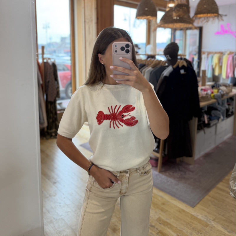 Pull HOMARD