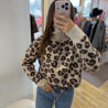 Pull CHARLOTTE